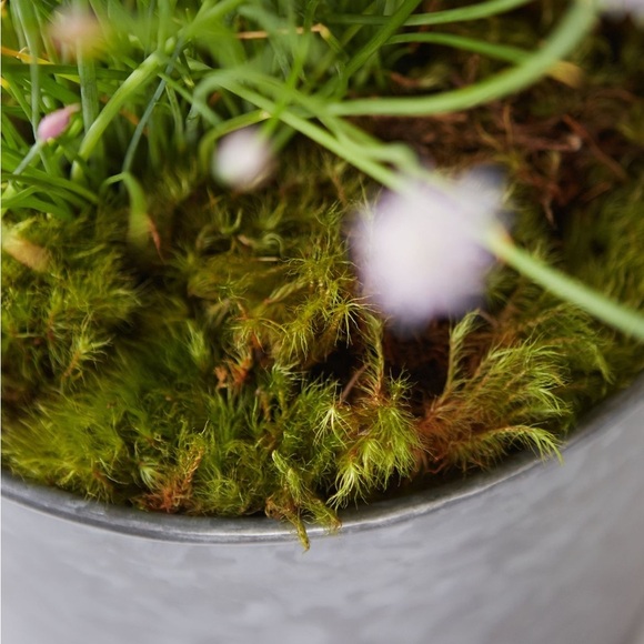 Anthropologie Home Habit + Form Cylinder Iron Pot Terrain Small New AnthroLiving - Picture 2 of 7